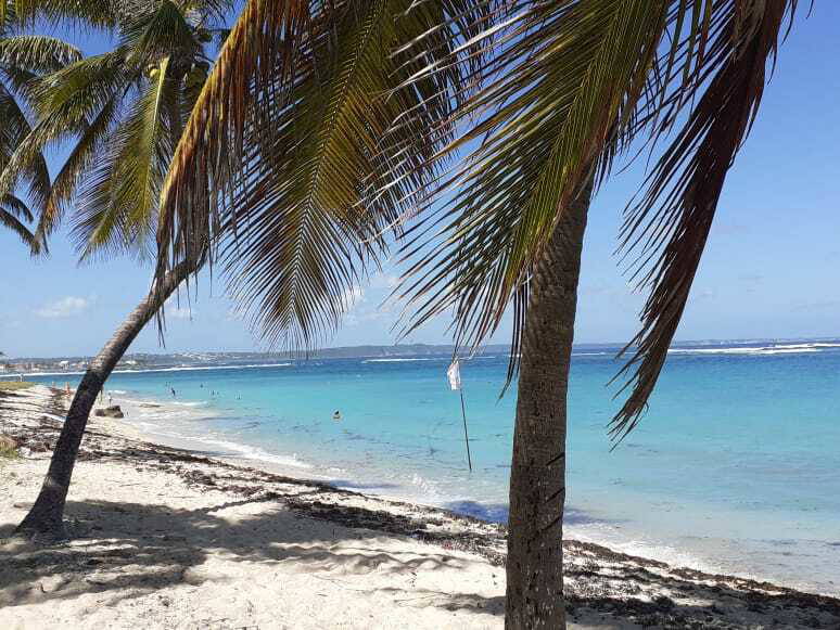 Hele Huis Le Moule 245400-1