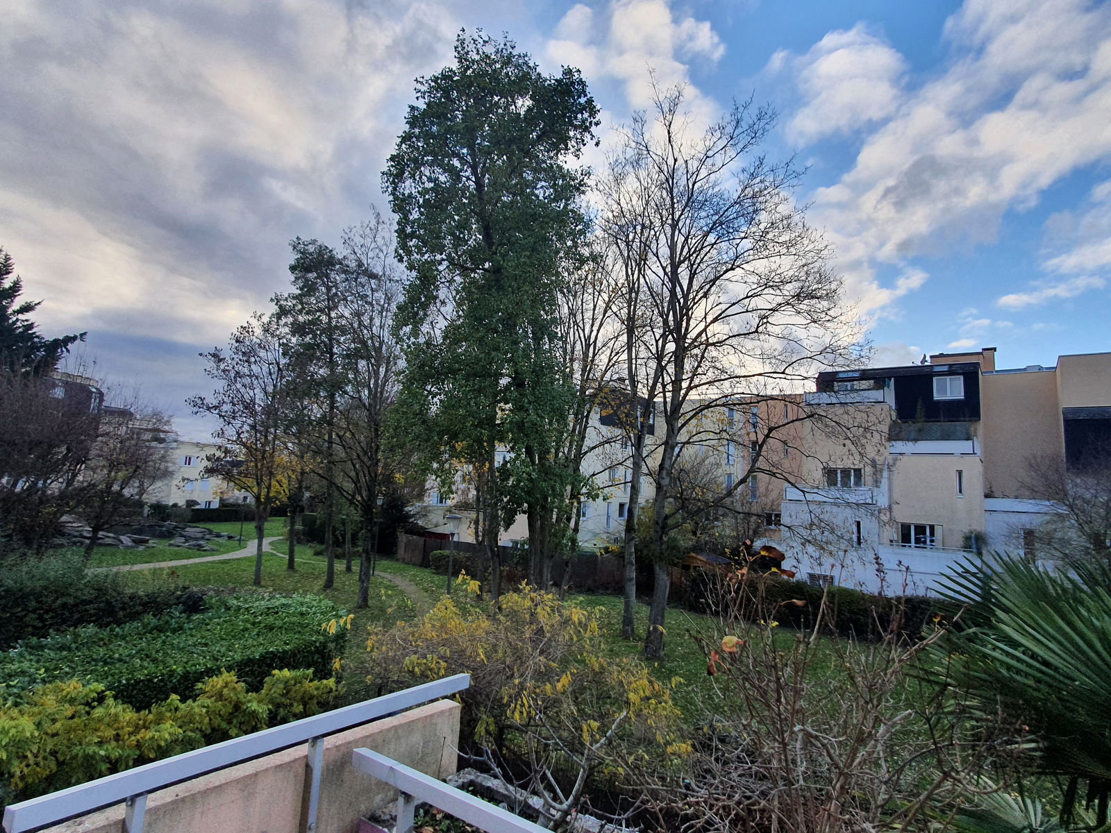 Colocation Cergy 244318