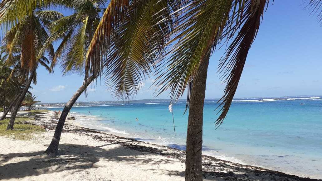 Tutta La Casa Le Moule 245400