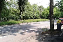 Estudio Independiente Mulhouse 133670