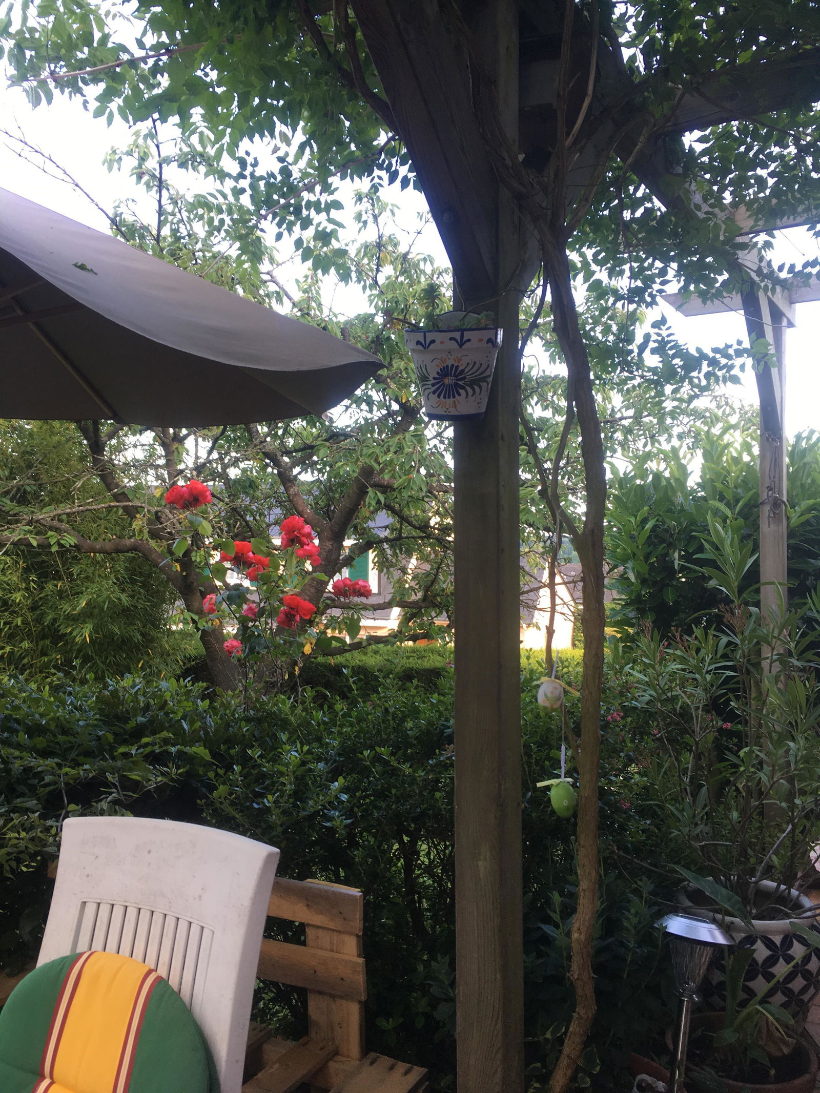 Camere Per Gli Ospiti Le Mans 23371