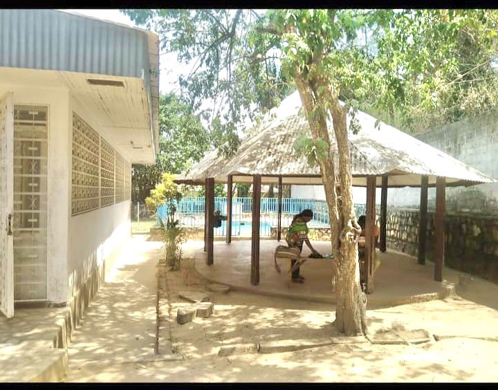 Estudio Independiente Bangui 335469