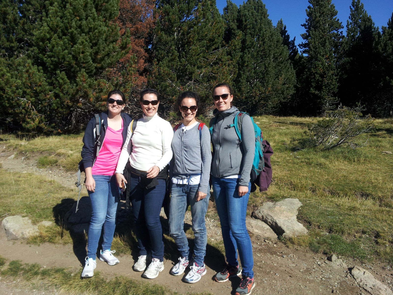 Colocación Perpignan 5781