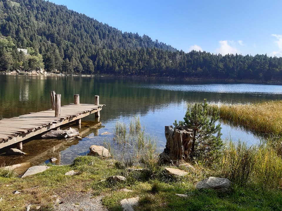 Colocación Perpignan 5781