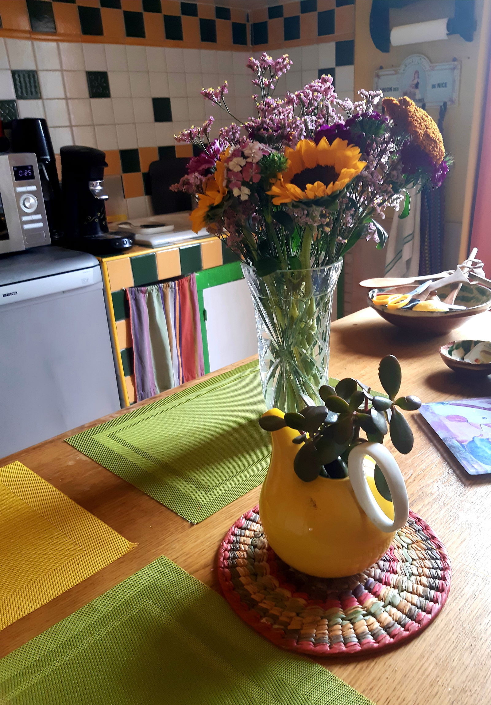 Kolokasie Perpignan 5781