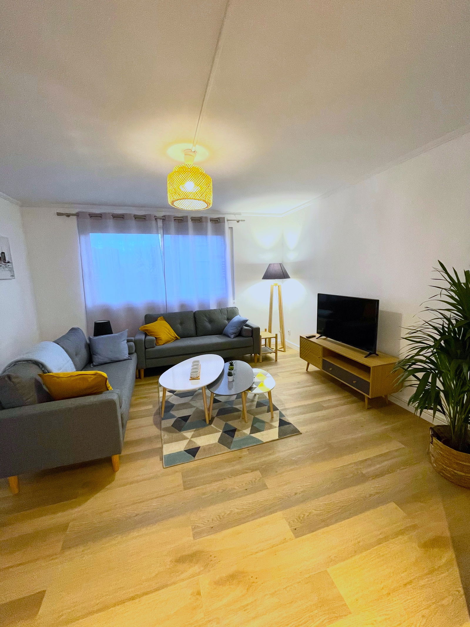 Kolokasie Pessac 244629