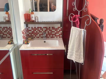 Chambre chez l'habitant à louer à Nantes - photo 3 : salle de bain-3