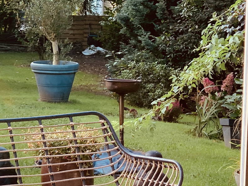 Logement Entier Waterloo 396184-1