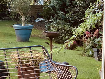 Coliving Waterloo 433343-5