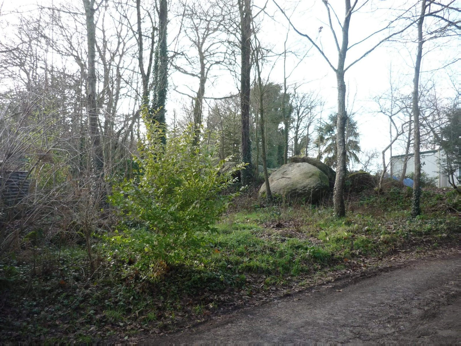 Colocação Saint-Jean-Brévelay 247871