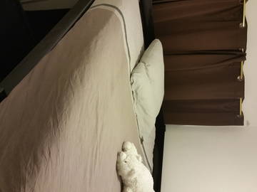 Chambre Chez L'habitant Nîmes 132330-4