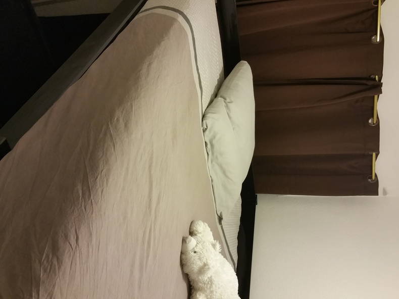 Homestay Nîmes 132330-4