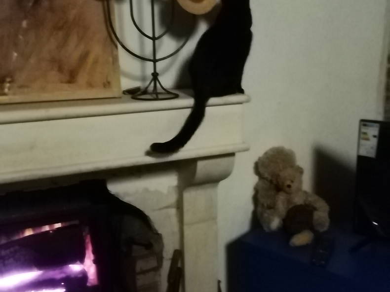 Tuisverblyf Garigny 248529-3