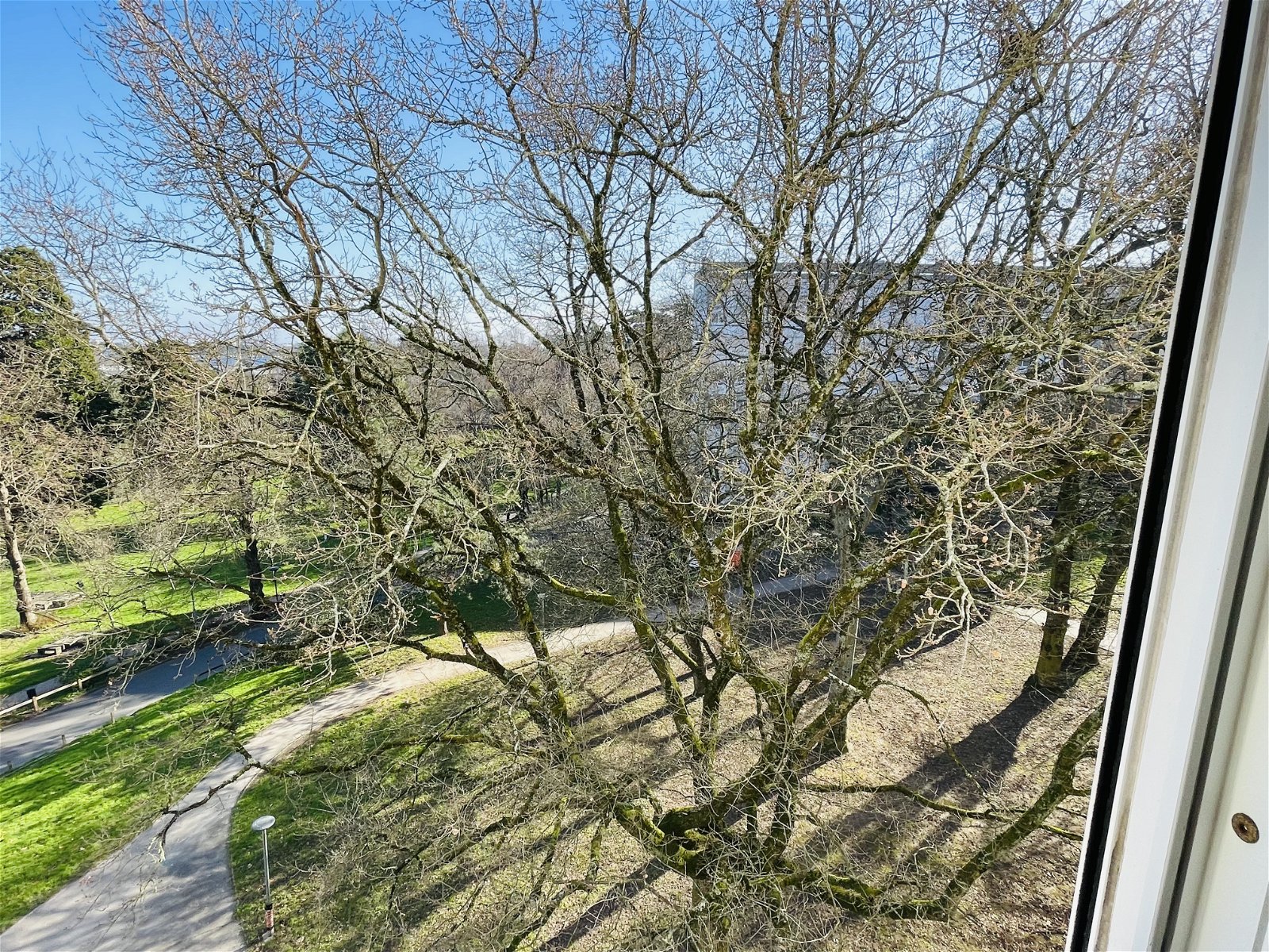 Homestay Nantes 266405