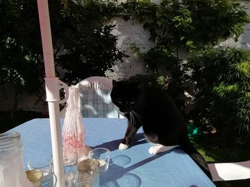 Hospedagem Em Casa De Família Watermael-Boitsfort 140894-5