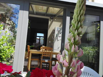 Hospedagem Em Casa De Família Watermael-Boitsfort 140894-4