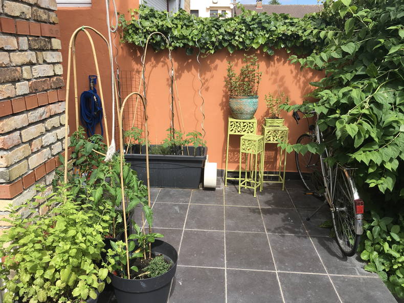 Zakwaterowanie U Rodziny Dunkerque 219216-5