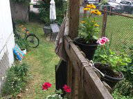 Chambre chez l'habitant à louer à Montréal - jardin-5