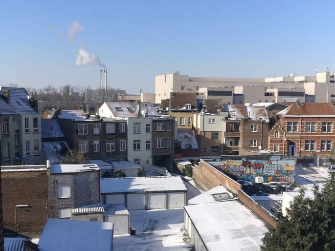 Colocation Forest 649097-1