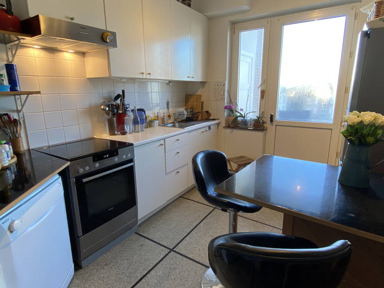 Colocation Forest 649097-5