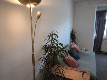 Shared Accommodation Forest 649097-8