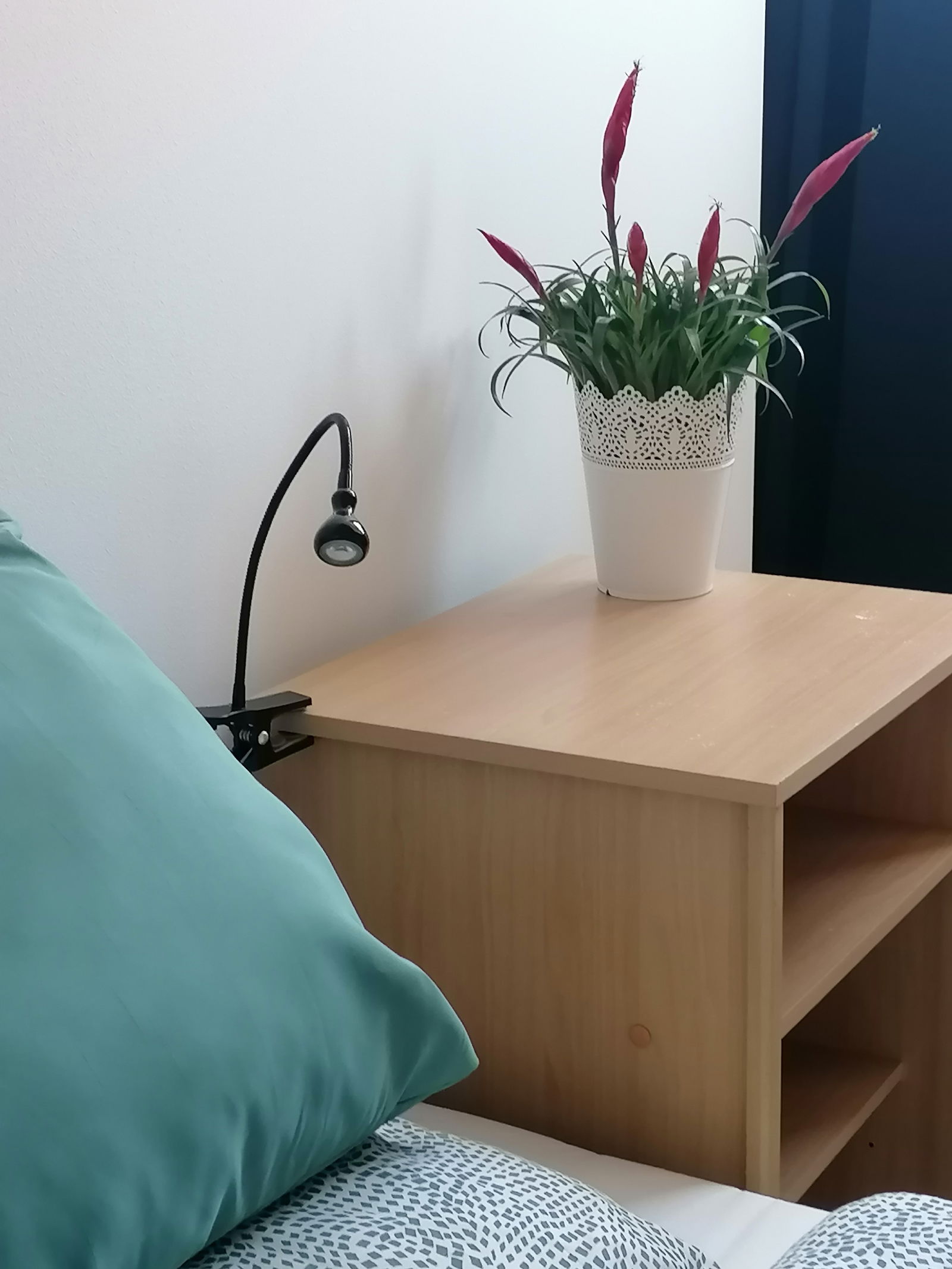 Chambre Chez L'habitant Watermael-Boitsfort 436292