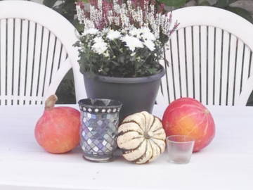 Hospedagem Em Casa De Família Watermael-Boitsfort 436292-12