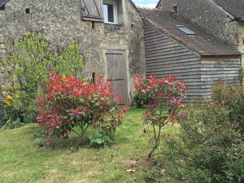 Tuisverblyf Savigné-l'Évêque 231865-5