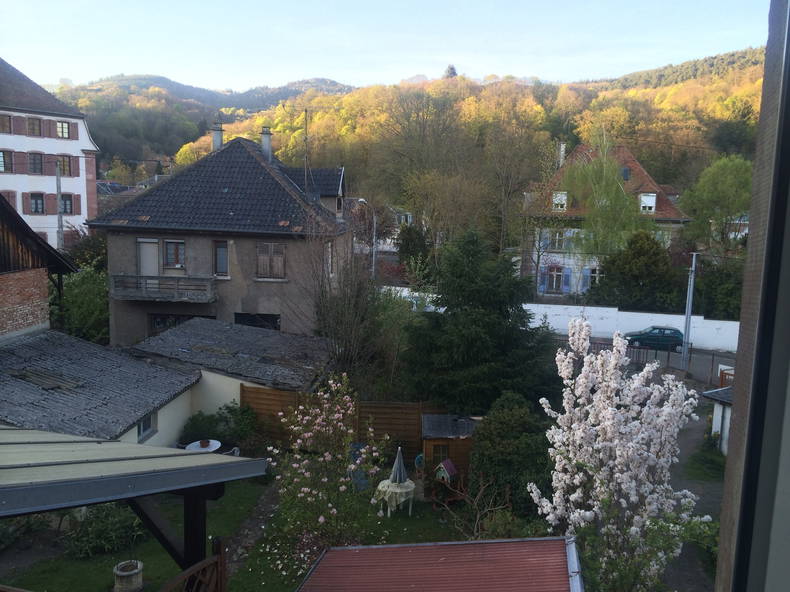 Colocación Munster 82178-5