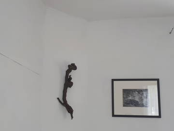 Logement Entier Monthey 484880-6