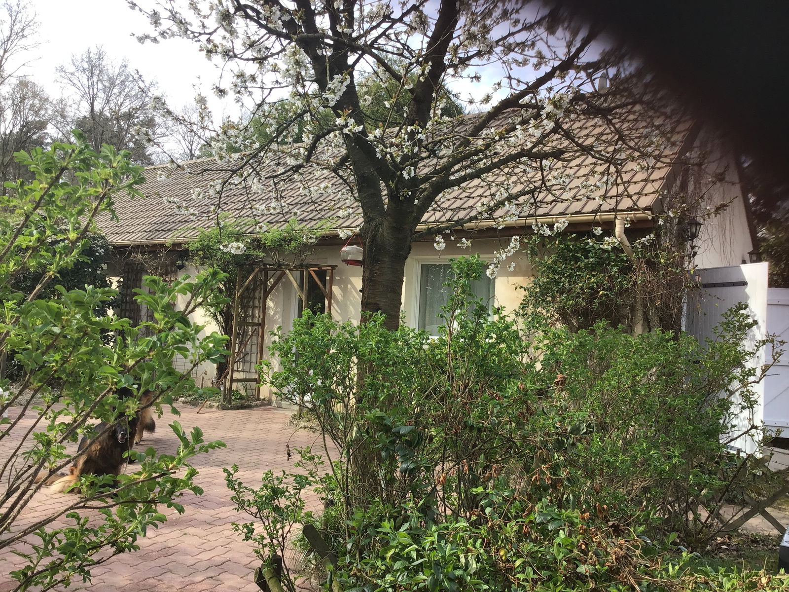 Oberoende Studio Saint-Rémy-l'Honoré 257074