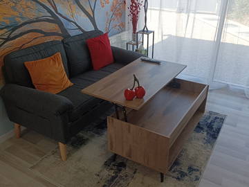 Logement entier à louer à Chilleurs-Aux-Bois - photo 19 : salon-19