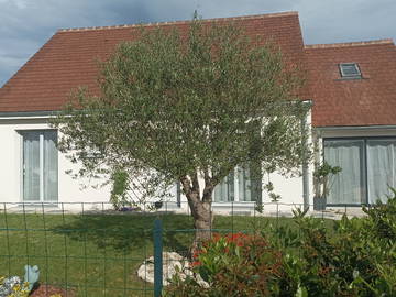 Logement entier à louer à Chilleurs-Aux-Bois - photo 20 : jardin-20