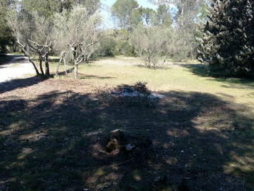 Chambre À Louer Montfort-Sur-Argens 103900