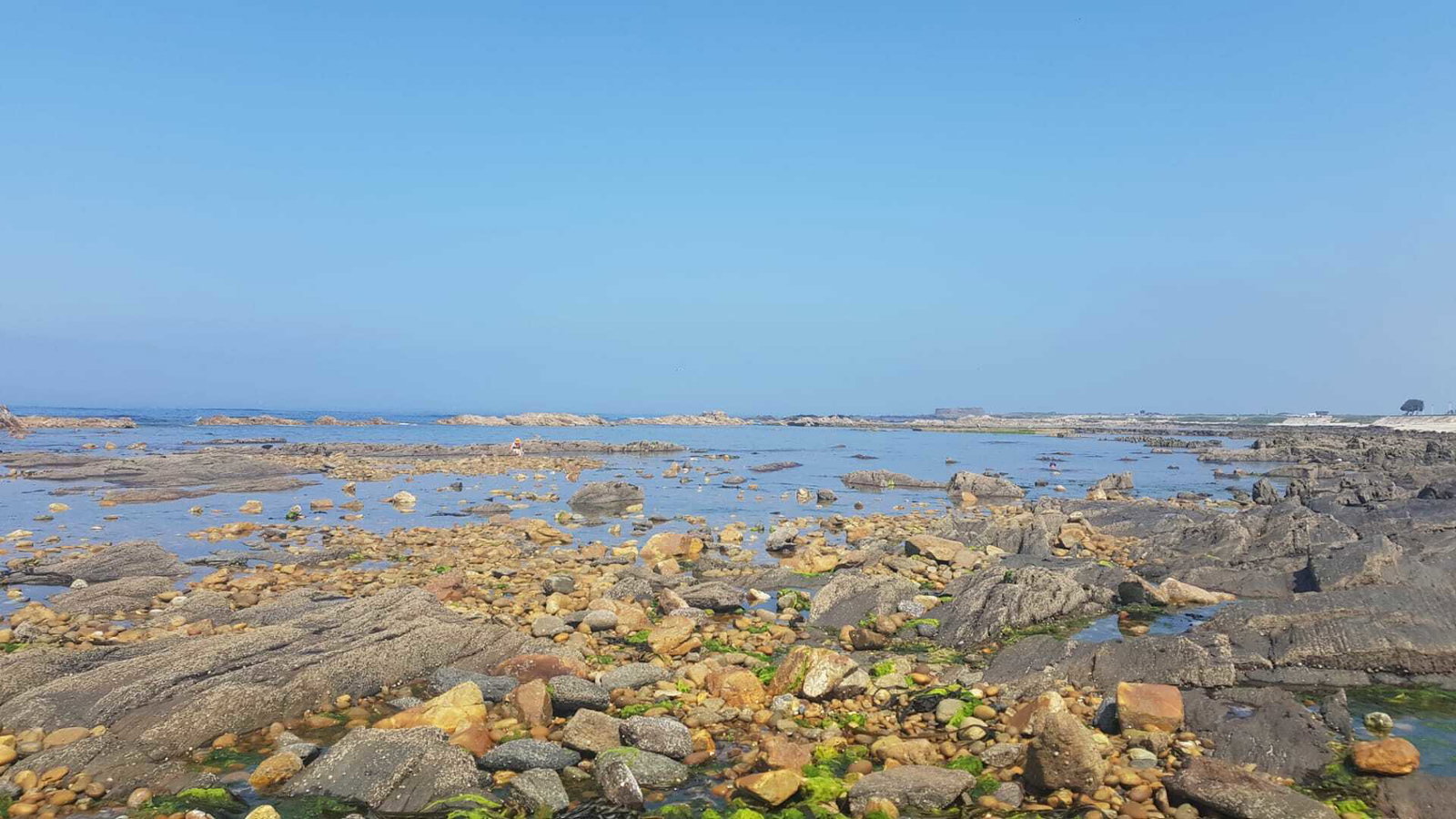 Toda La Casa Viana do Castelo 260899