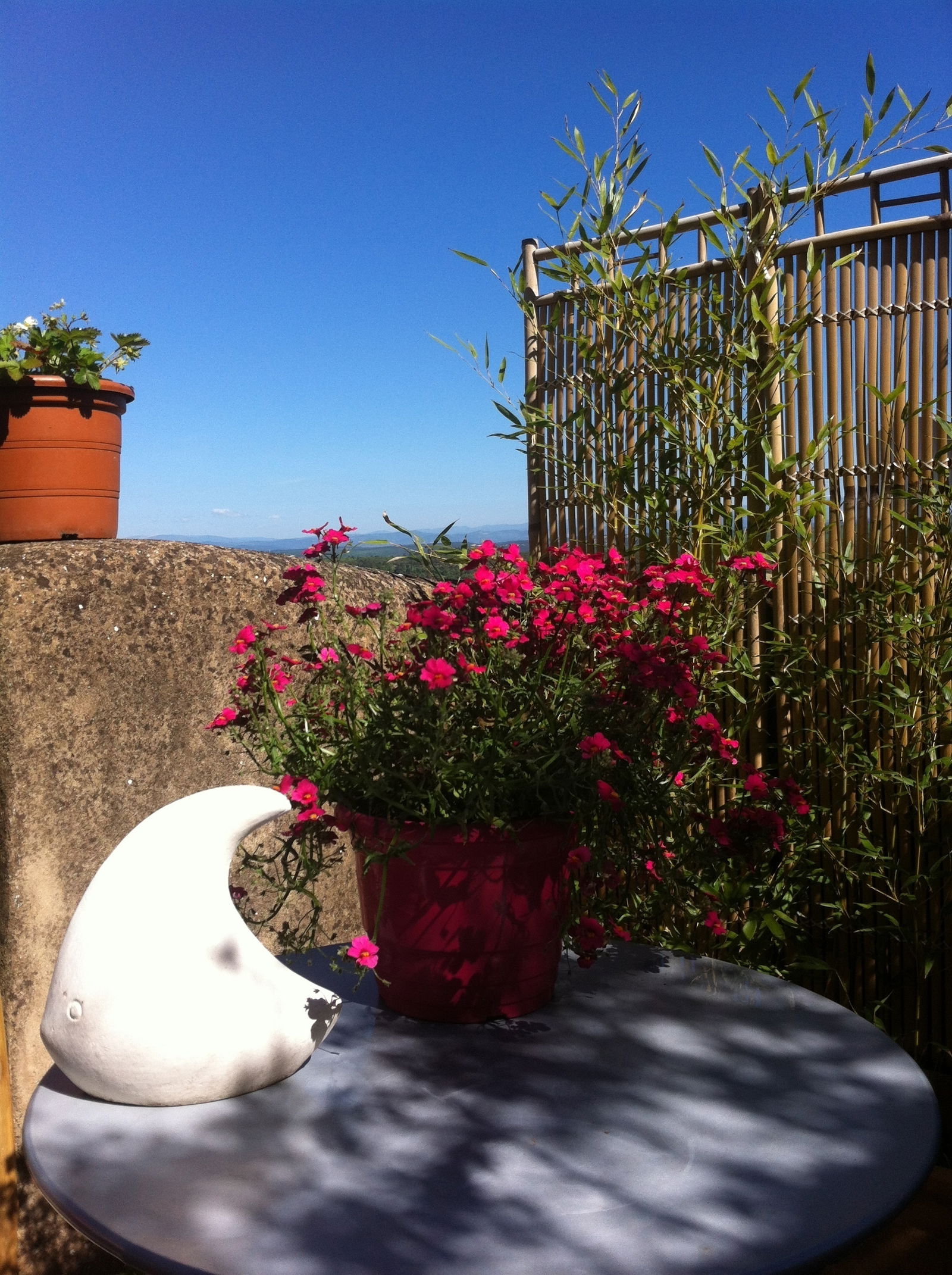 Tutta La Casa Saint-Martin-de-Pallières 80904