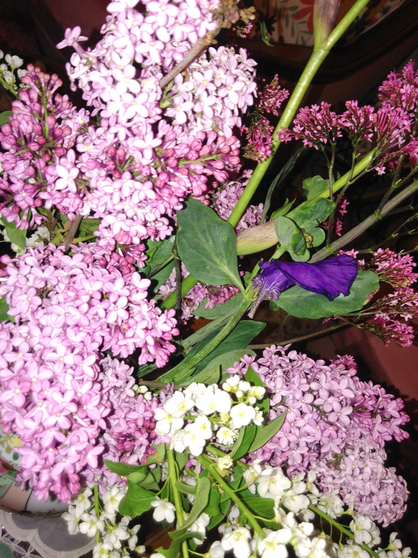 Famiglia Orléans 84595