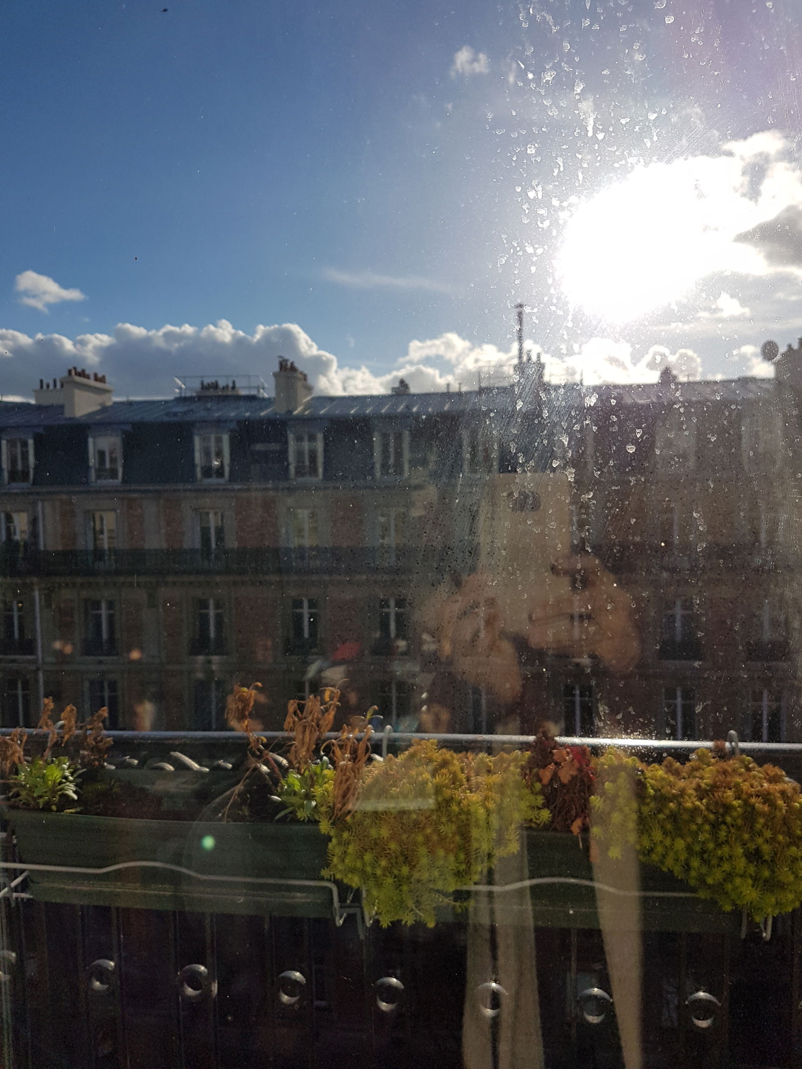 Estudio Independiente Paris 247619