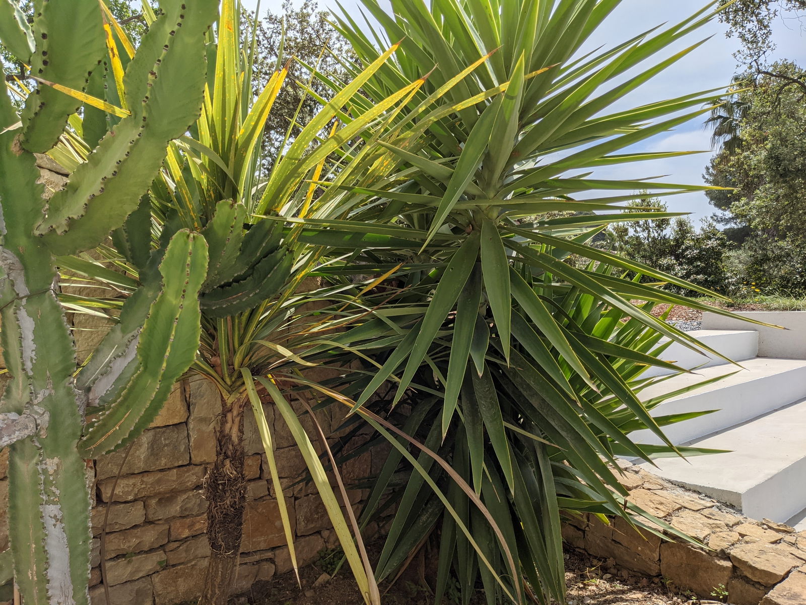 Tutta La Casa Six-Fours-les-Plages 249674