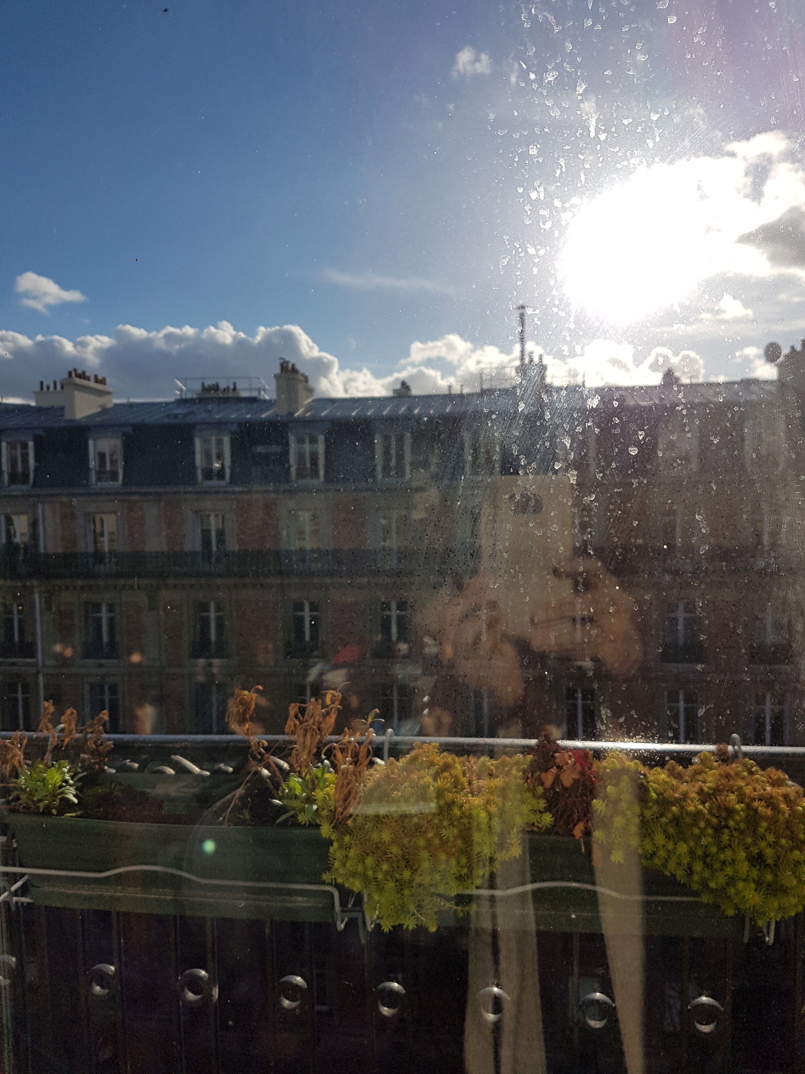 Tutta La Casa Paris 247619