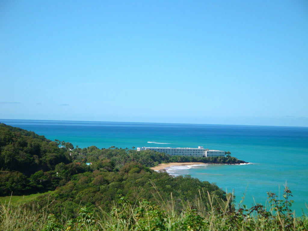 Tutta La Casa Caféière 216533