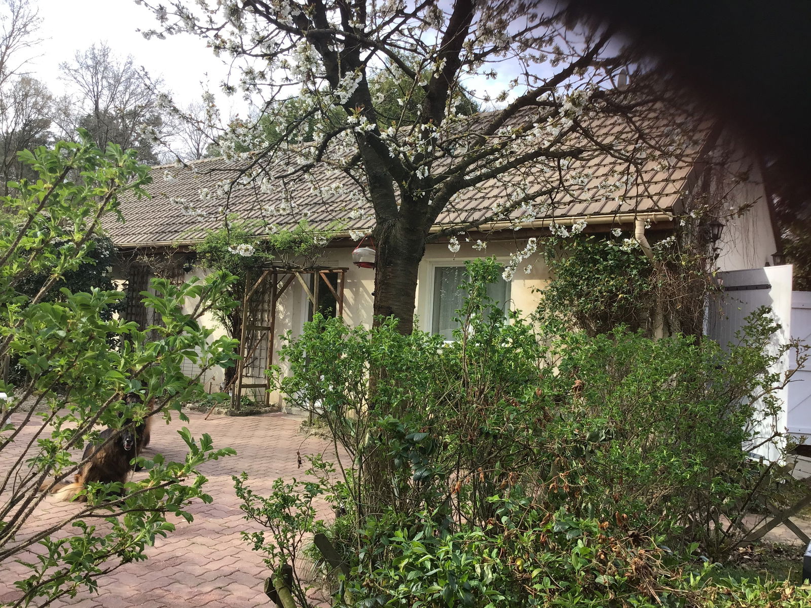 Tutta La Casa Montfort-l'Amaury 247503