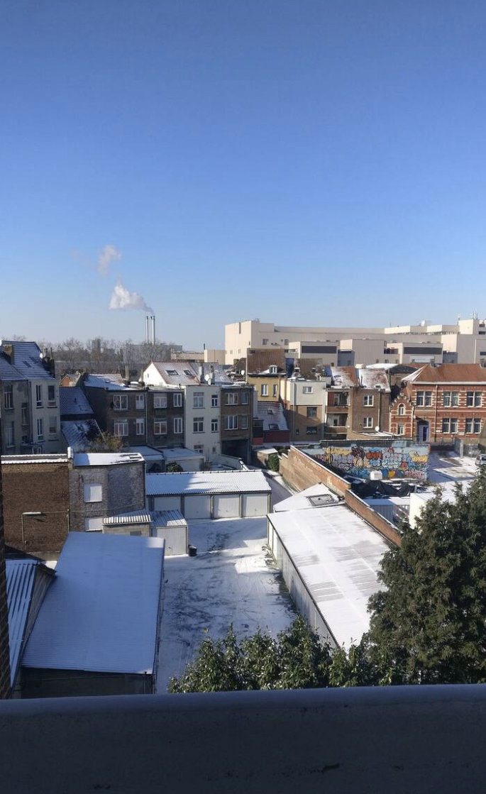 Collocazione Forest 649097