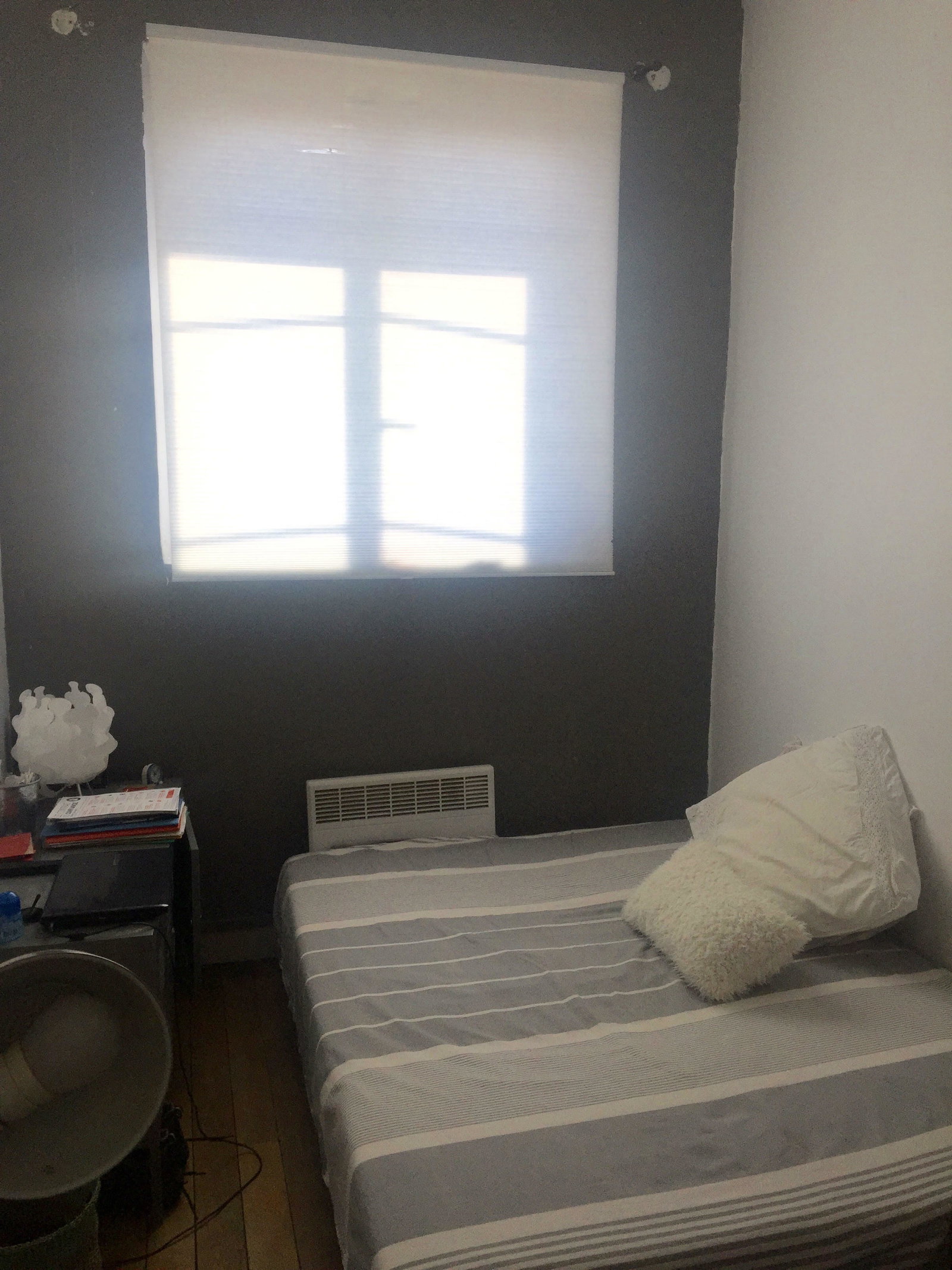 Famiglia Lyon 178367