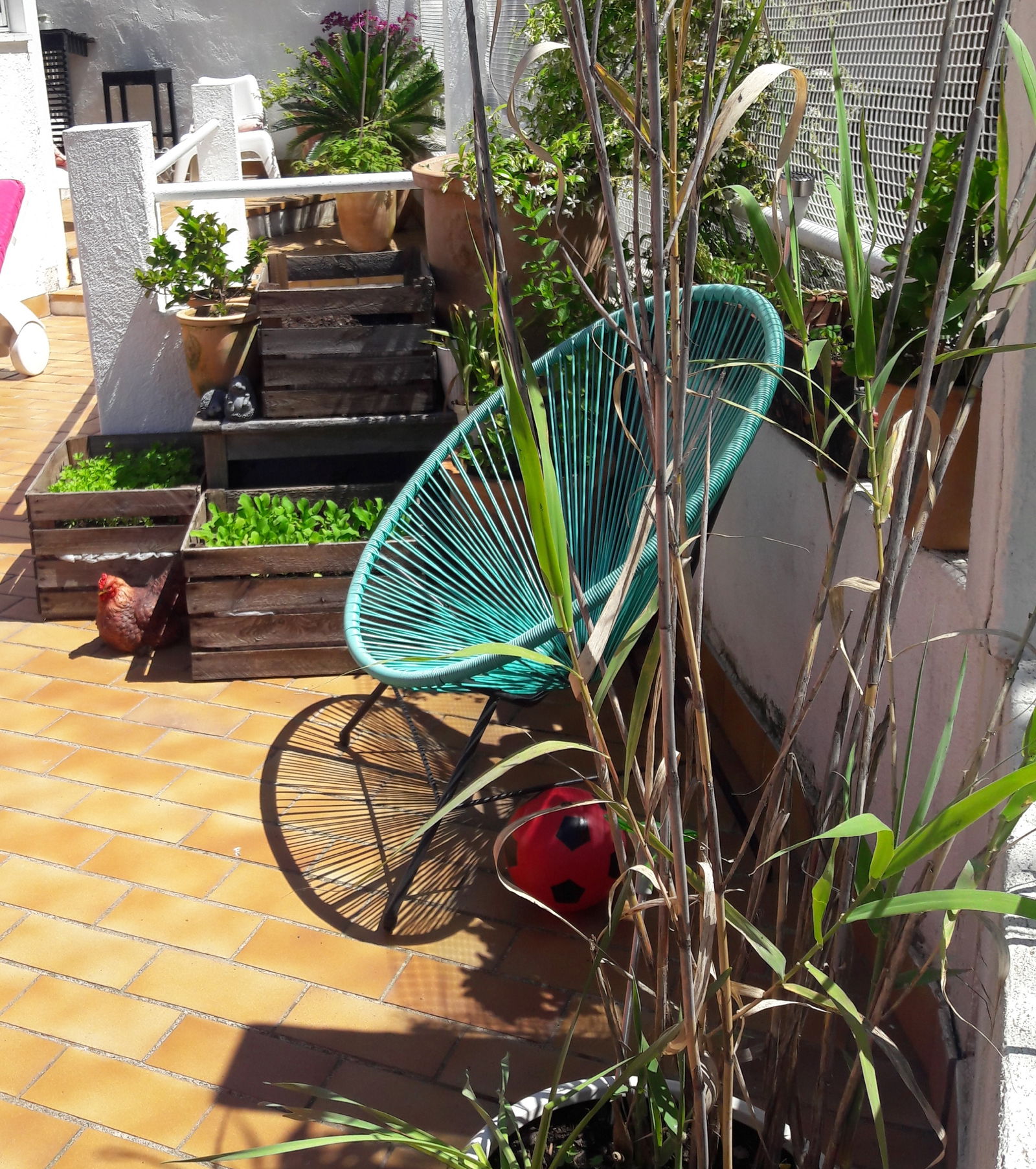 Famiglia Le Cannet 250061