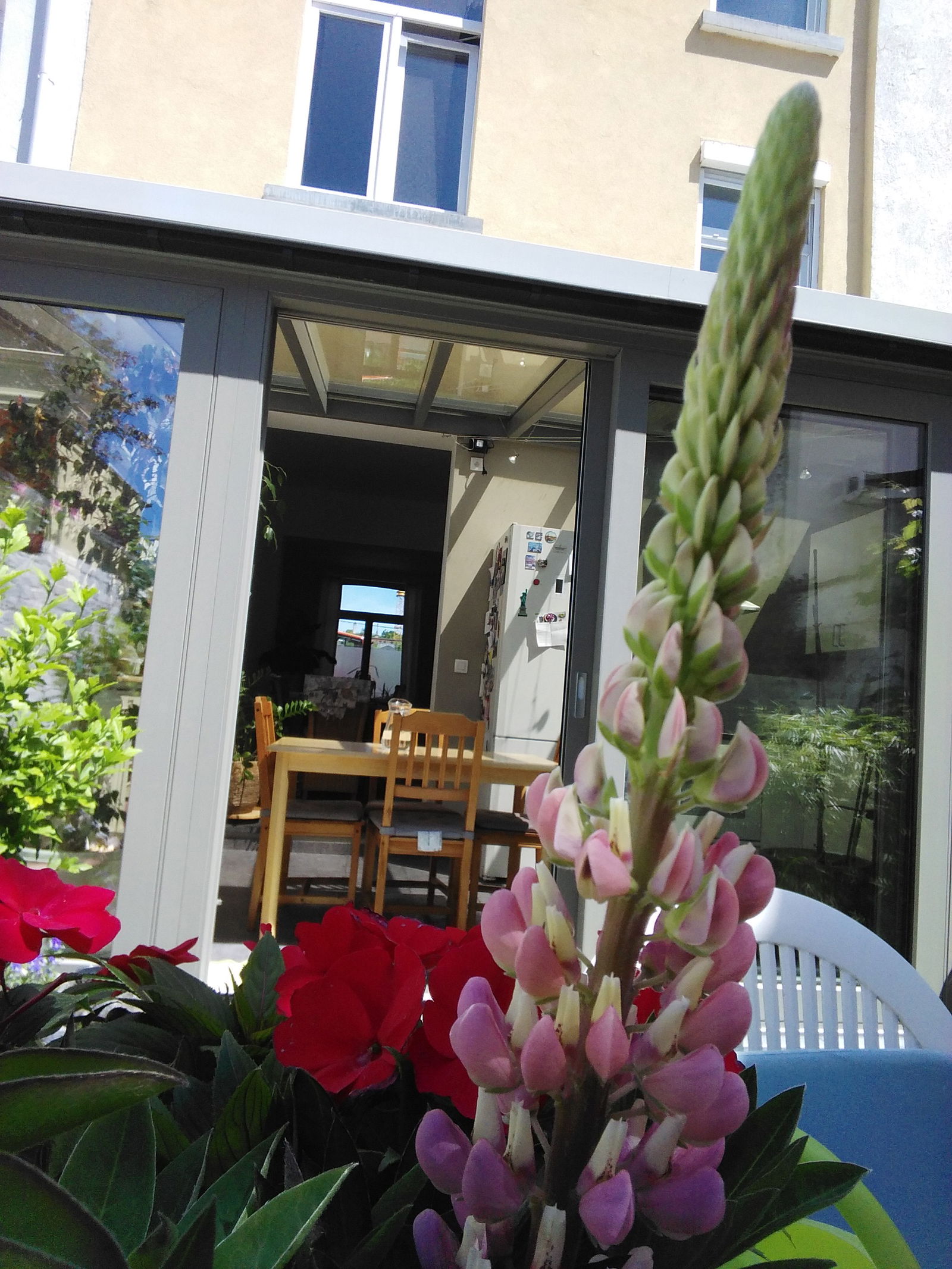 Famiglia Watermael-Boitsfort 140894