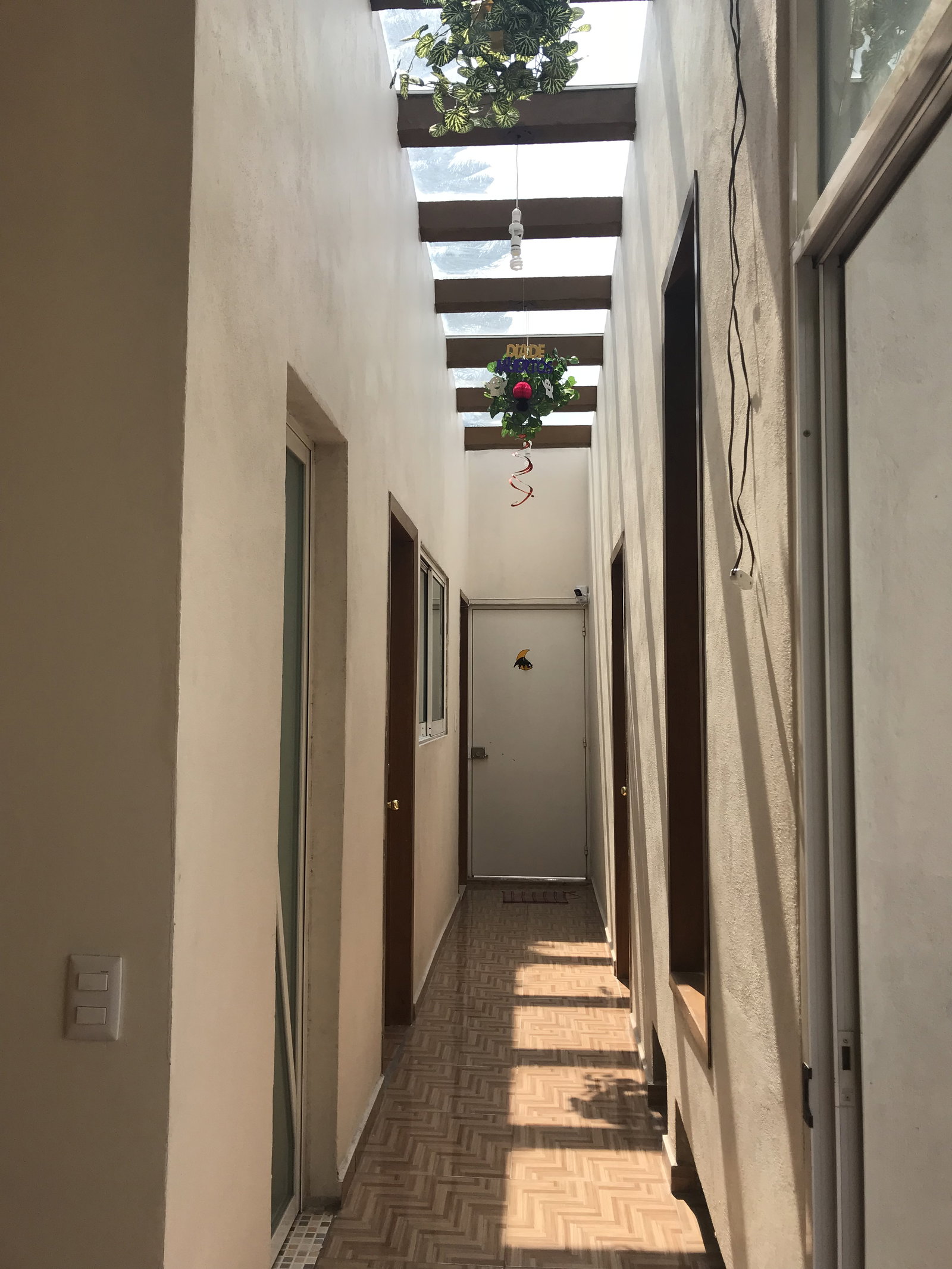 Famiglia México D.F. 266874