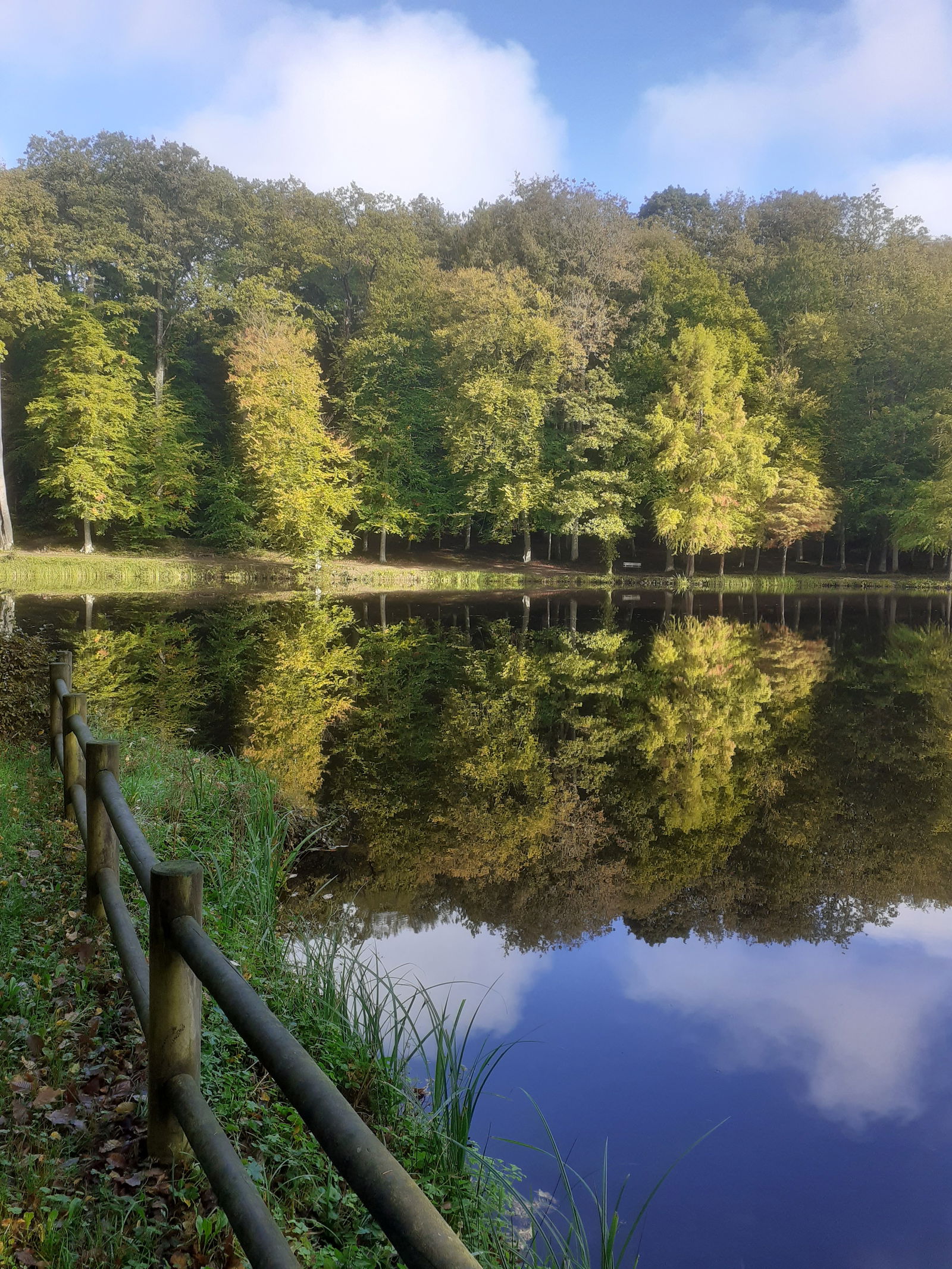 Camere Per Gli Ospiti Bellême 40225