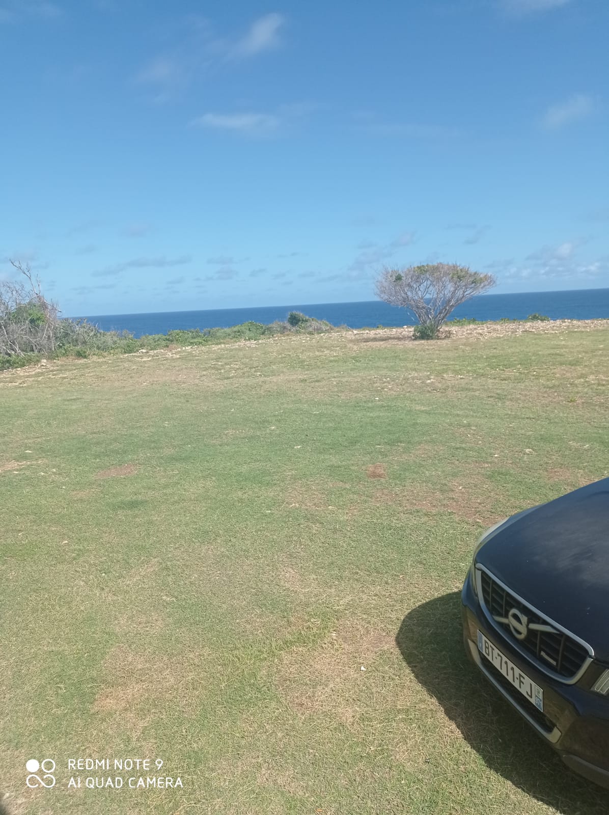 Famiglia Anse-Bertrand 353309