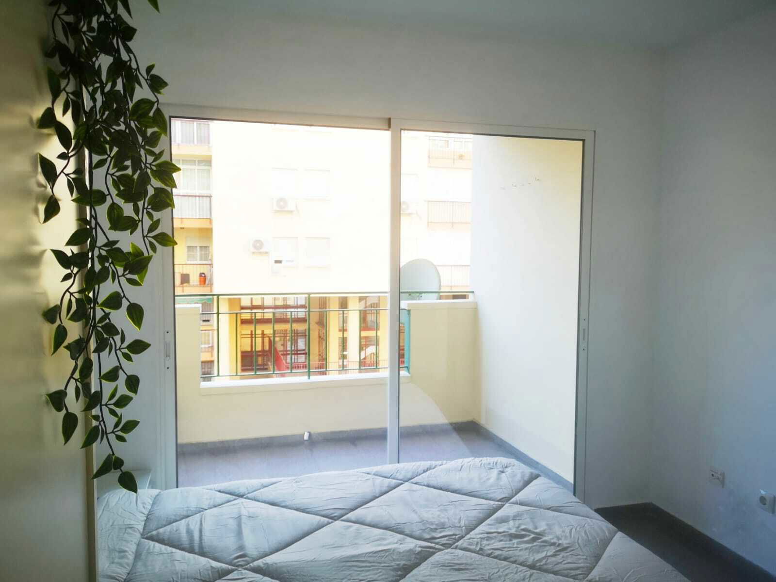 Kolokacja Málaga 245670